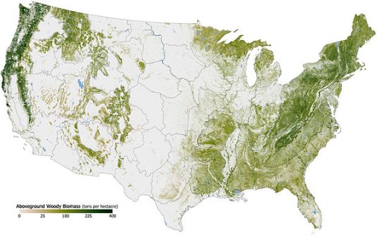 "Woody Biomass" distribution, thanks to Wikipedia